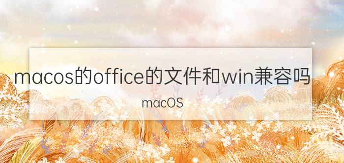 macos的office的文件和win兼容吗 macOS Office文件与Windows兼容性